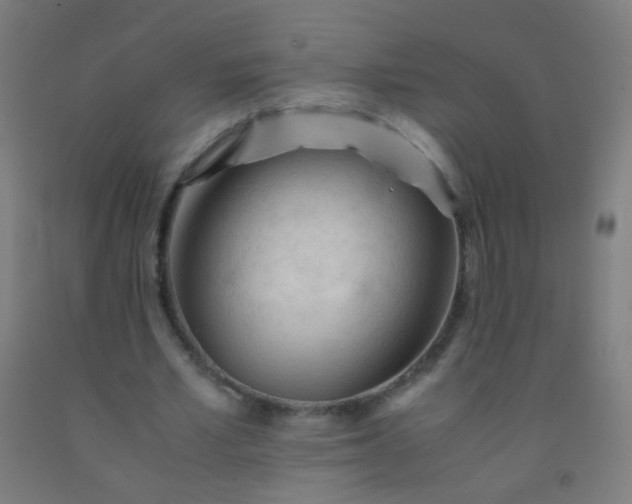 X0000092310581200709281348