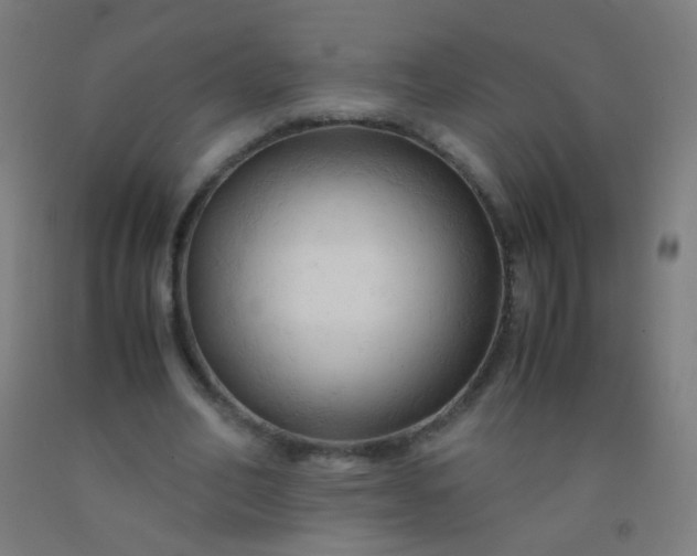 X0000092310582200709281348