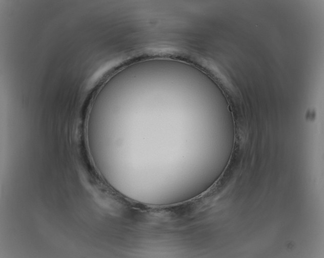 X0000092310583200709281348