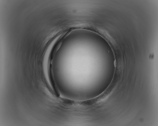 X0000092310585200709281348
