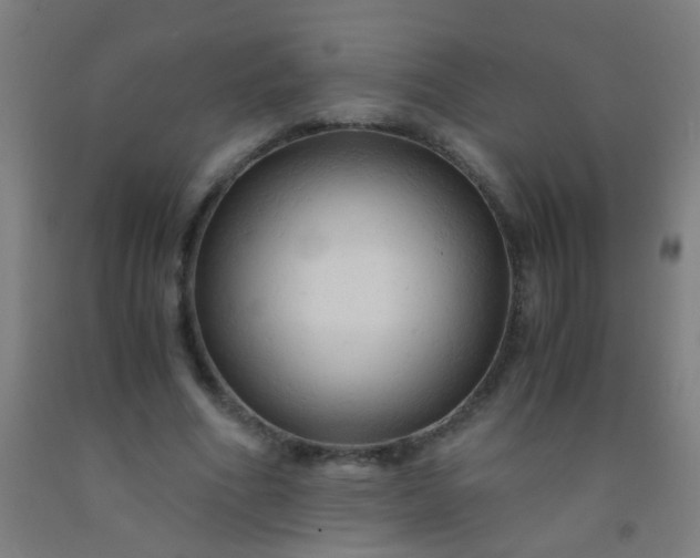 X0000092310586200709281348