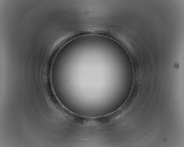 X0000092310587200709281348