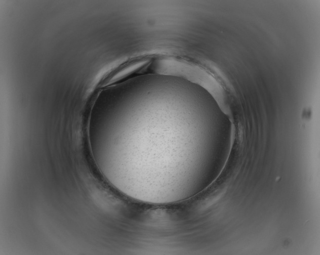 X0000092310588200709281348