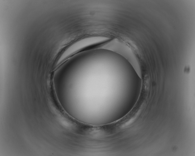 X0000092310589200709281348