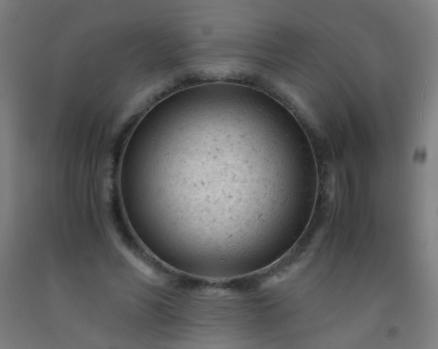 X0000092310590200709281348