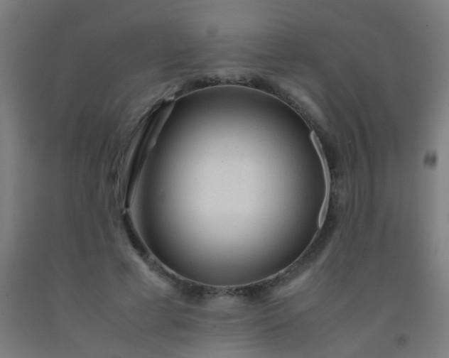 X0000092310593200709281348