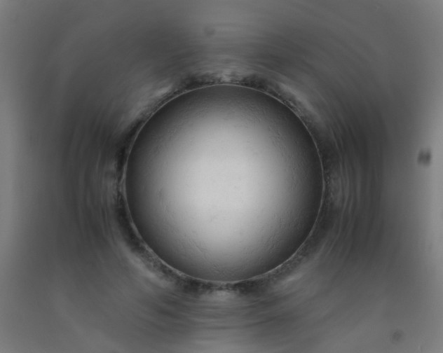 X0000092310594200709281348