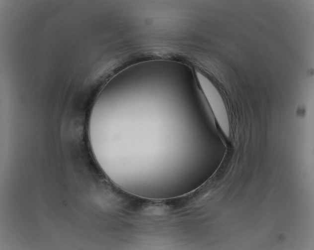 X0000092310595200709281348