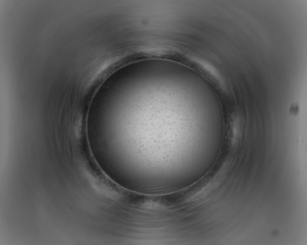 X0000092310596200709281348