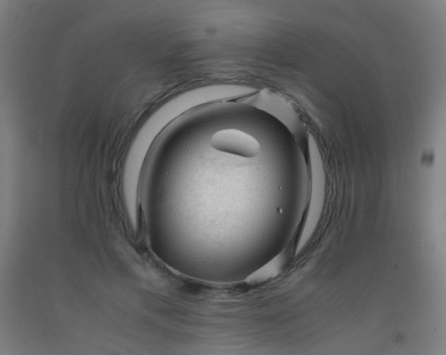 X0000092310597200709281348