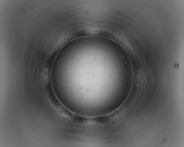 X0000092310598200709281348