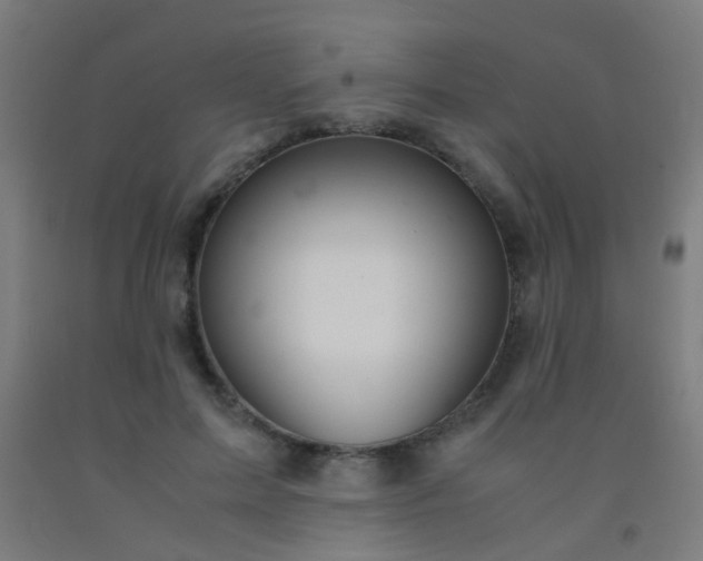 X0000092310599200709281348