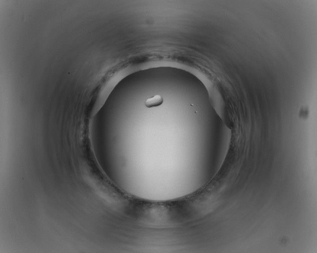 X0000092310600200709281348