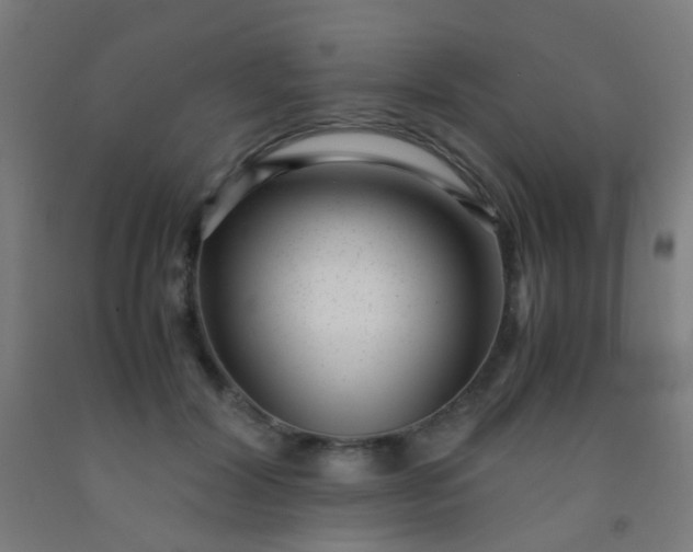 X0000092310604200709281348