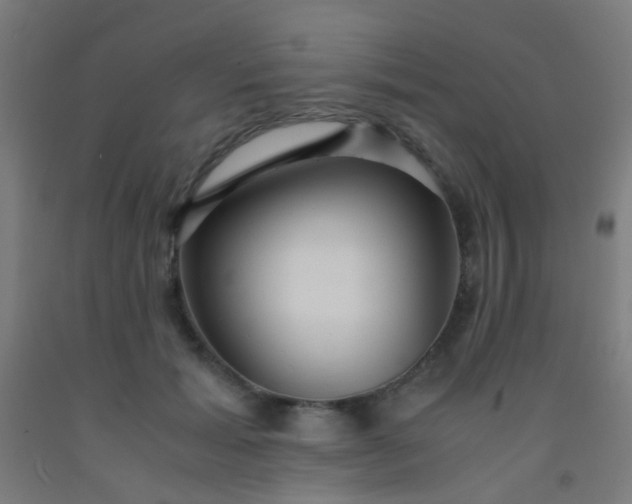 X0000092310605200709281348