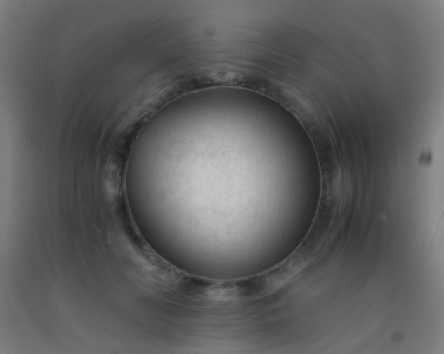 X0000092310606200709281347
