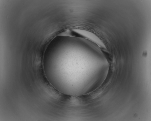 X0000092310608200709281347
