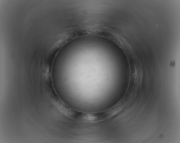 X0000092310610200709281347