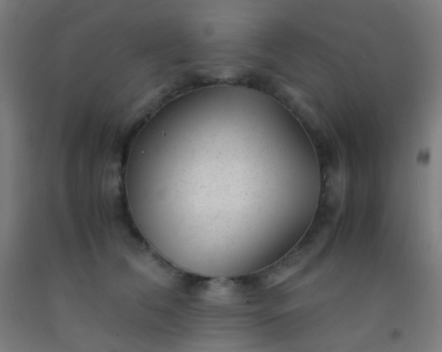 X0000092310612200709281347
