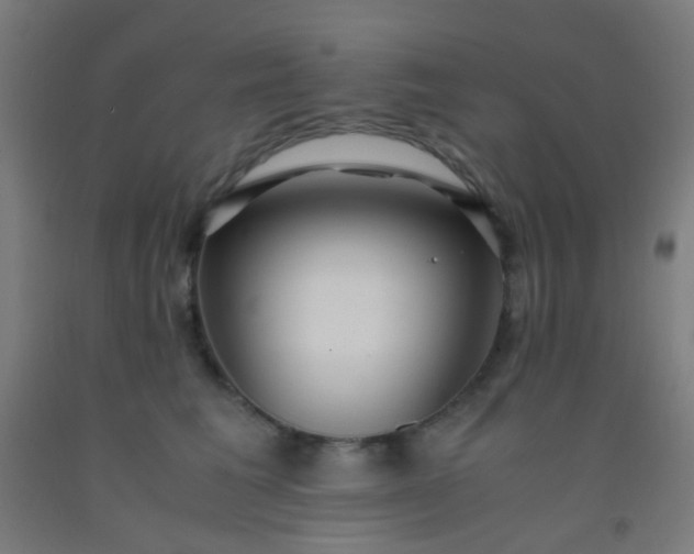 X0000092310613200709281347