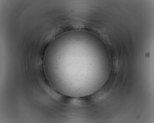 X0000092310614200709281347