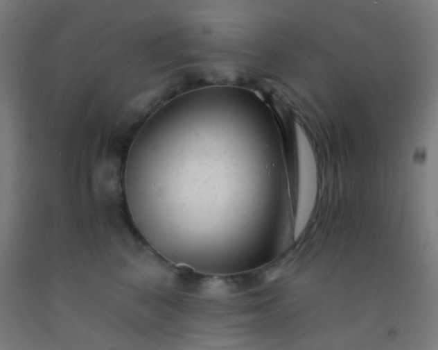 X0000092310616200709281347