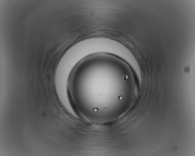 X0000092310617200709281347