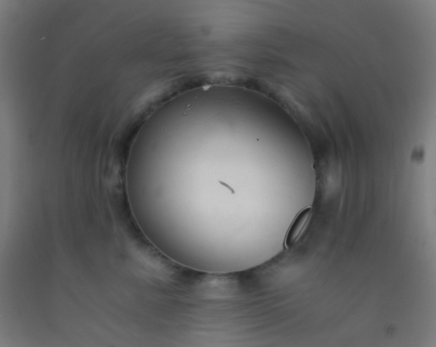 X0000092310619200709281347