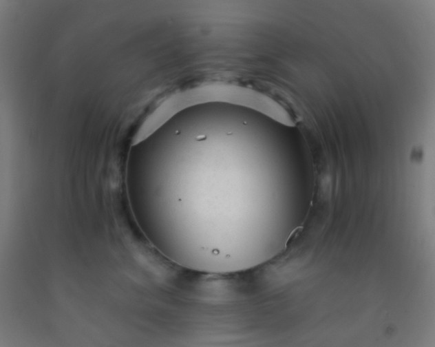 X0000092310620200709281347