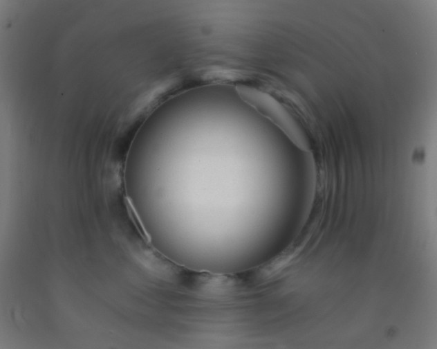 X0000092310621200709281347