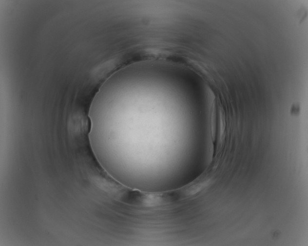 X0000092310623200709281347