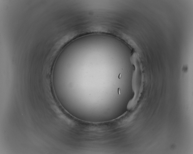 X0000092310625200709281347