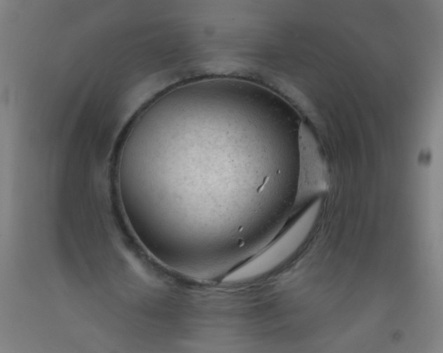 X0000092310626200709281347