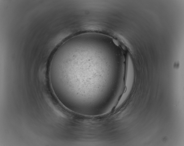 X0000092310627200709281347