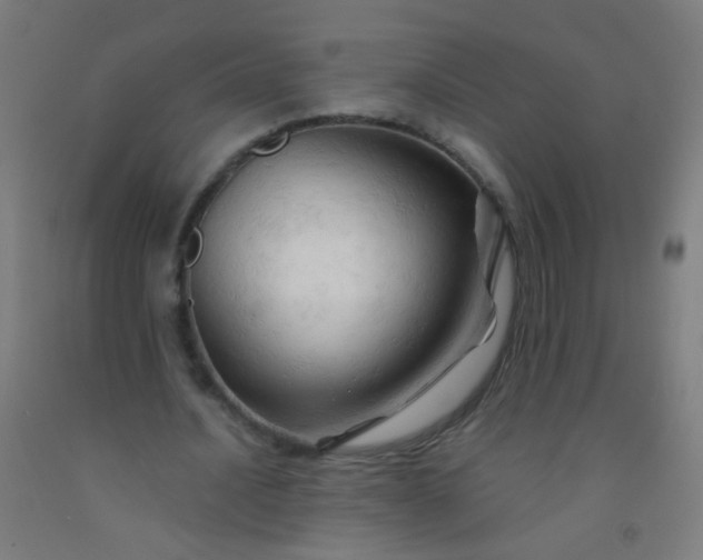 X0000092310628200709281347