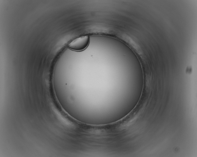 X0000092310629200709281347
