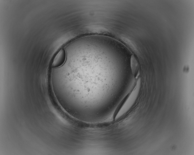 X0000092310630200709281347