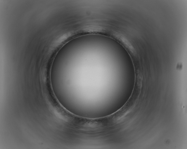 X0000092310631200709281347