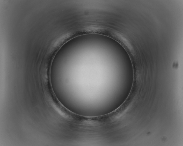 X0000092310633200709281347