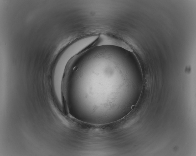 X0000092310634200709281347