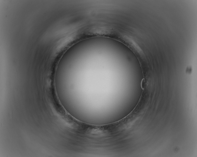X0000092310635200709281347