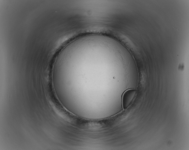 X0000092310636200709281347