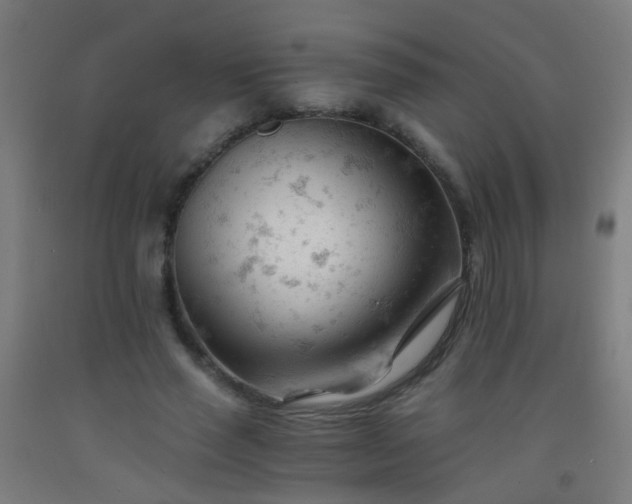 X0000092310637200709281347