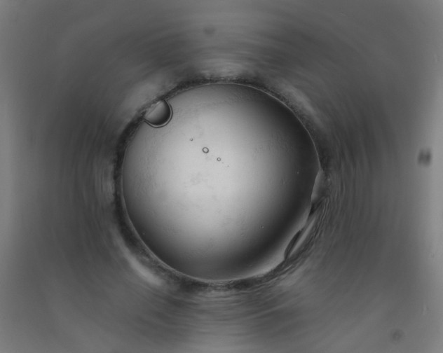 X0000092310638200709281347
