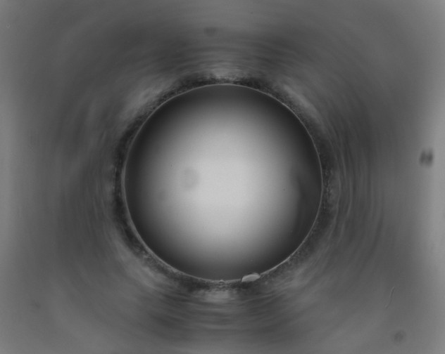 X0000092310639200709281347