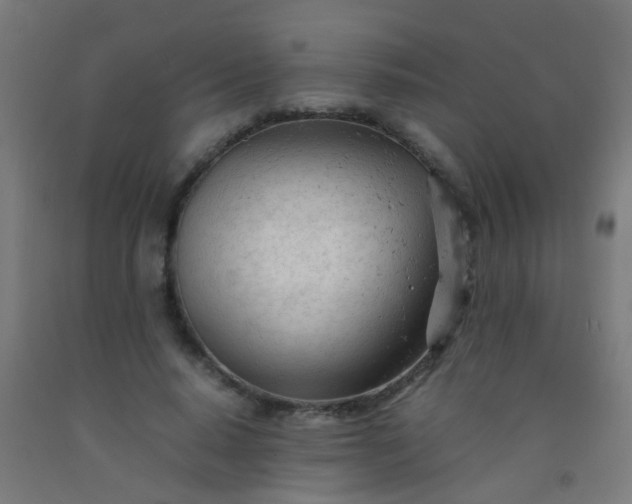 X0000092310640200709281347