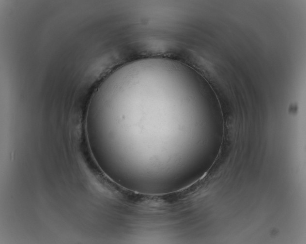 X0000092310642200709281347