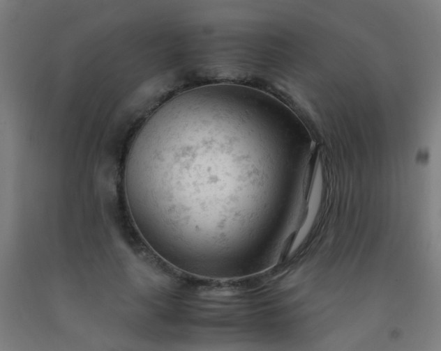 X0000092310643200709281347