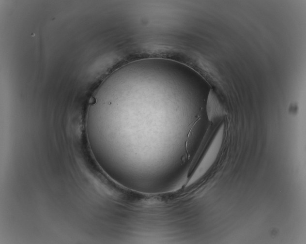 X0000092310644200709281347