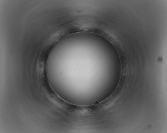 X0000092310646200709281347